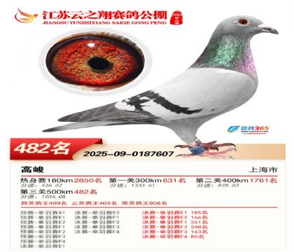 ������֮�����482��