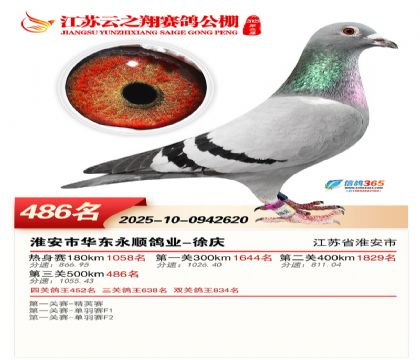 ������֮�����486��