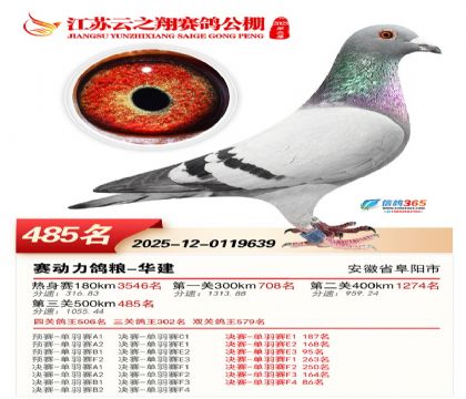 ������֮�����485��