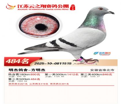 ������֮�����484��