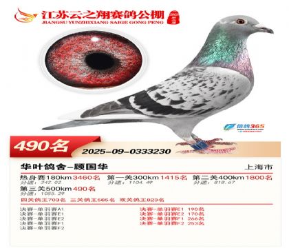 ������֮�����490��