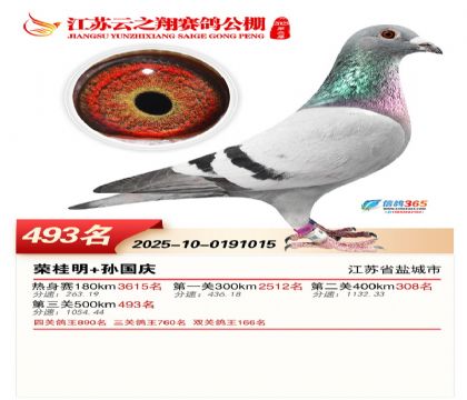 ������֮�����493��