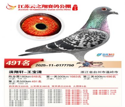 ������֮�����491��