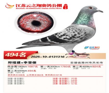 ������֮�����494��