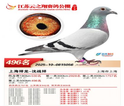 ������֮�����496��