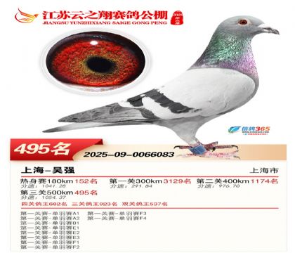 ������֮�����495��