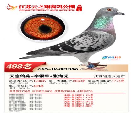 ������֮�����498��