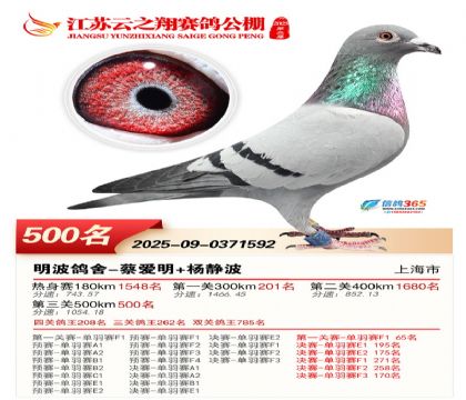 ������֮�����500��