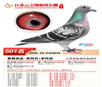 ������֮�����501��