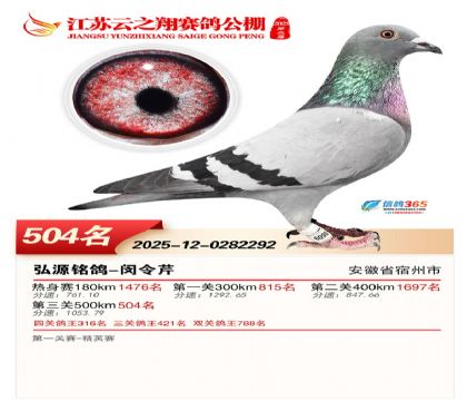 ������֮�����504��