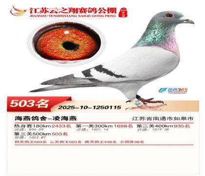 ������֮�����503��