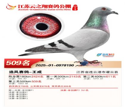 ������֮�����509��