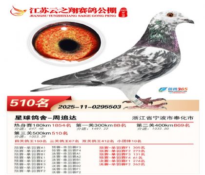 ������֮�����510��