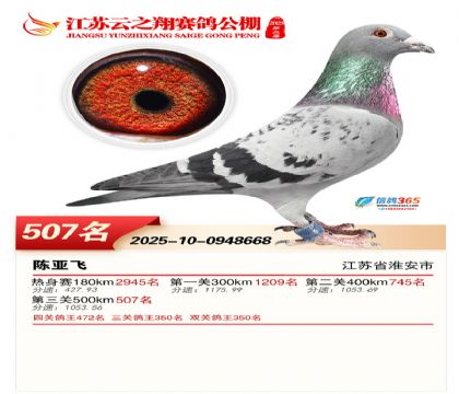 ������֮�����507��