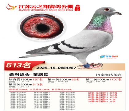 ������֮�����513��