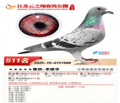 ������֮�����511��