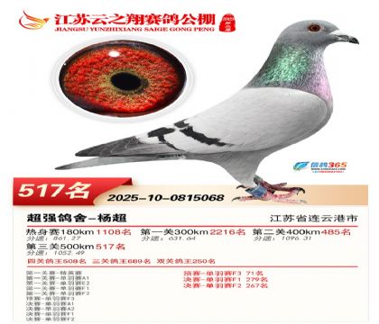 ������֮�����517��