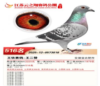 ������֮�����516��