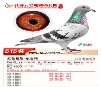 ������֮�����515��