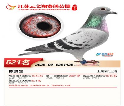 ������֮�����521��