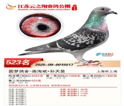 ������֮�����523��