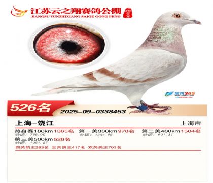 ������֮�����526��