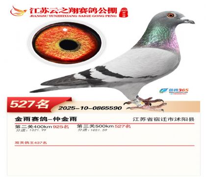 ������֮�����527��