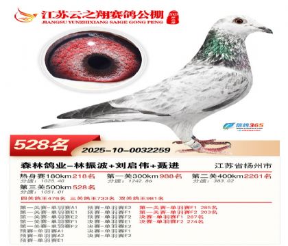 ������֮�����528��