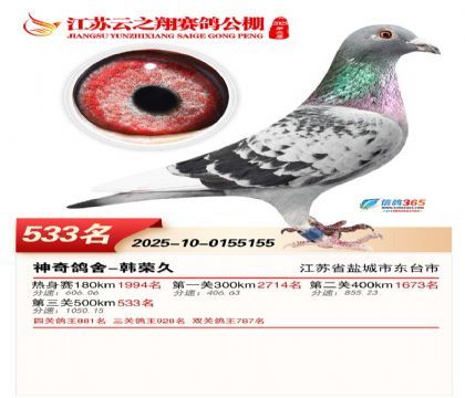 ������֮�����533��