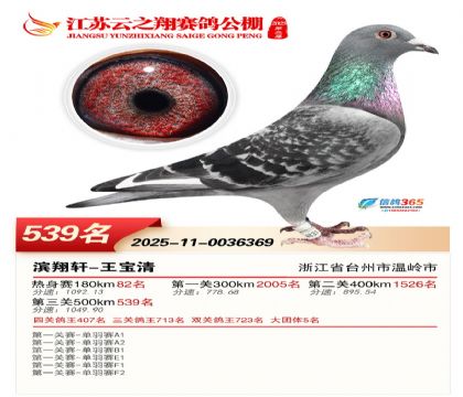 ������֮�����539��