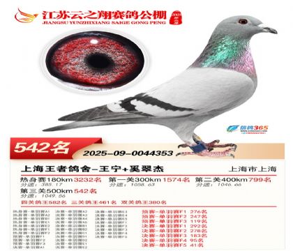 ������֮�����542��