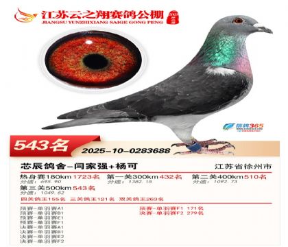 ������֮�����543��