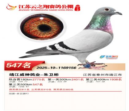 ������֮�����547��