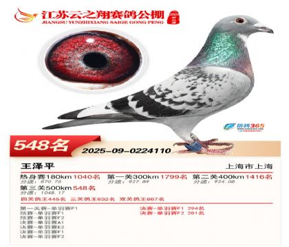 ������֮�����548��