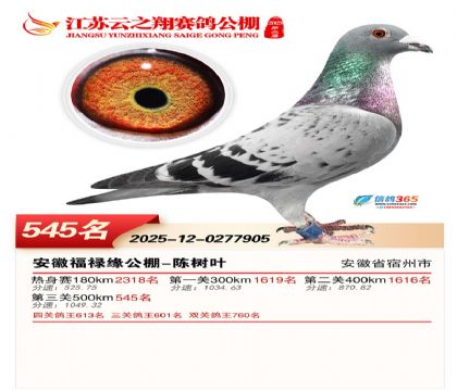 ������֮�����545��