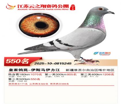 ������֮�����550��