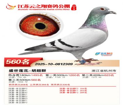 ������֮�����560��