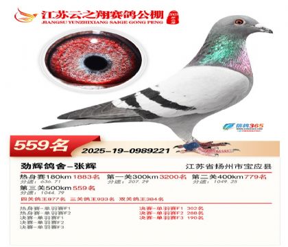 ������֮�����559��