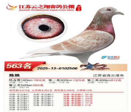 ������֮�����563��