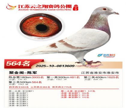 ������֮�����564��