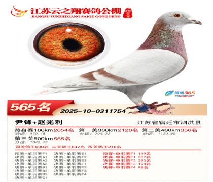 ������֮�����565��