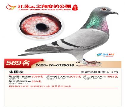 ������֮�����569��