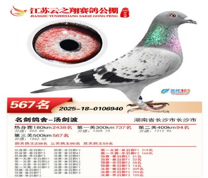 ������֮�����567��