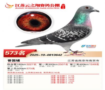 ������֮�����573��