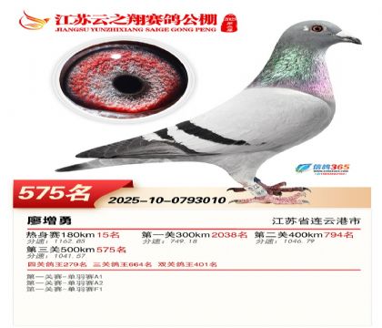 ������֮�����575��