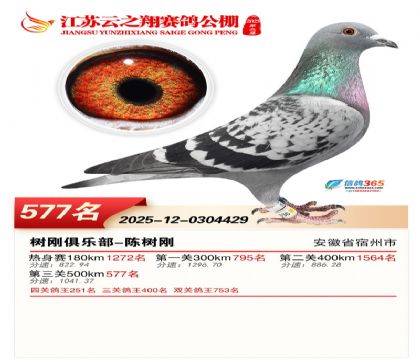 ������֮�����577��