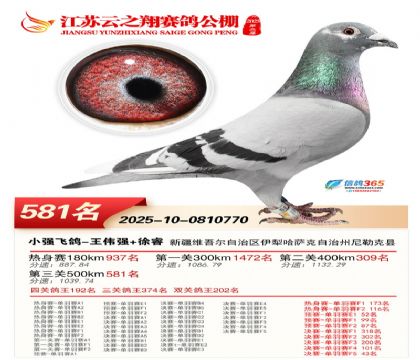 ������֮�����581��