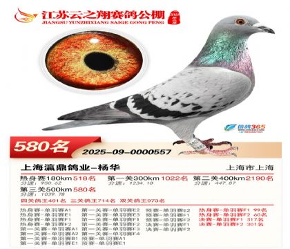 ������֮�����580��