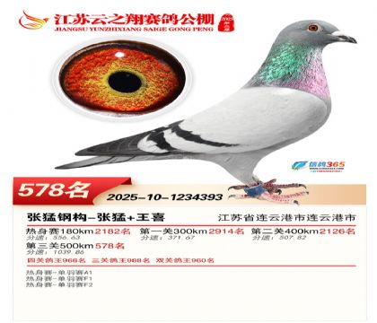 ������֮�����578��