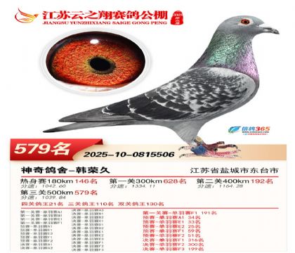 ������֮�����579��